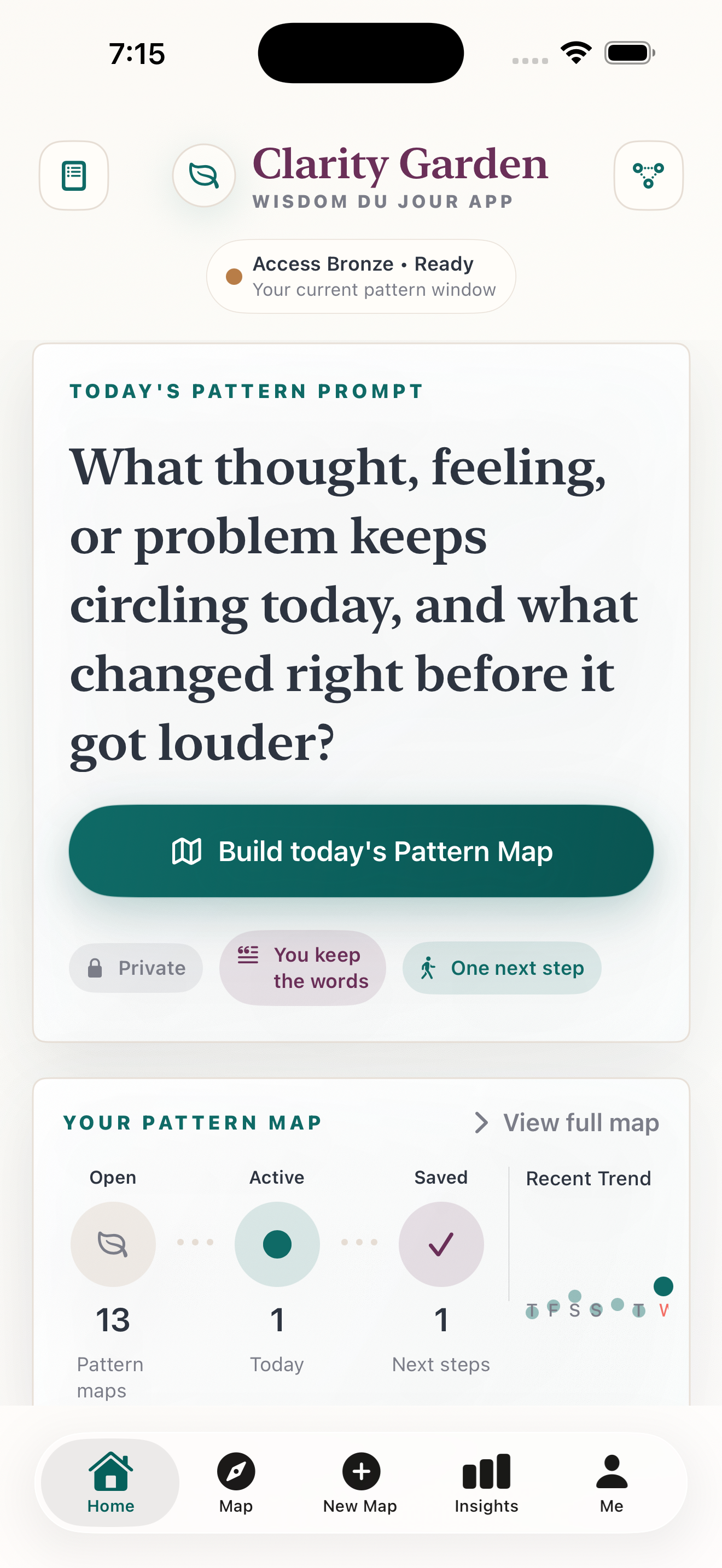 Clarity Garden home screen showing the Build today's Pattern Map button, Pattern Map metrics, and bottom navigation.